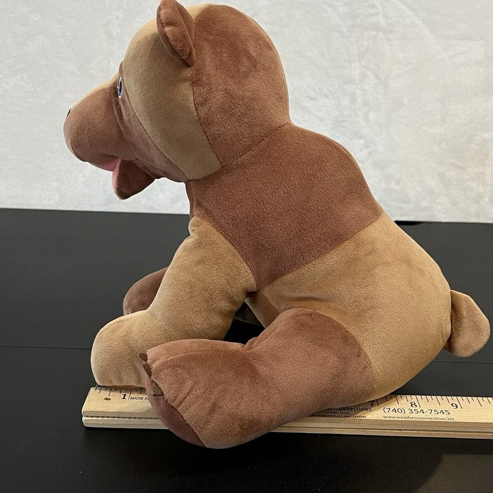 Koh'ls Cares Brown Bear Plush Eric Carle 10